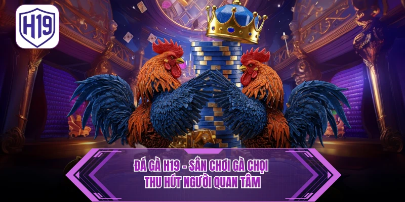 Đá Gà H19 – Thưởng Thức Trận Kịch Tính Thomo & Philippines - H19