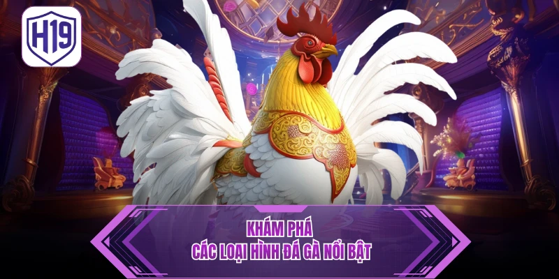 Đá Gà H19 – Thưởng Thức Trận Kịch Tính Thomo & Philippines - H19
