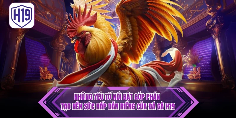 Đá Gà H19 – Thưởng Thức Trận Kịch Tính Thomo & Philippines - H19