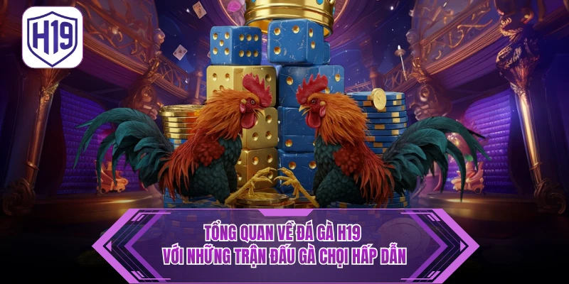 Đá Gà H19 – Thưởng Thức Trận Kịch Tính Thomo & Philippines - H19